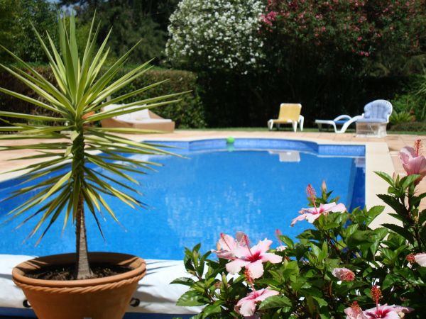 Pool Terrace Renovation in Pickerington