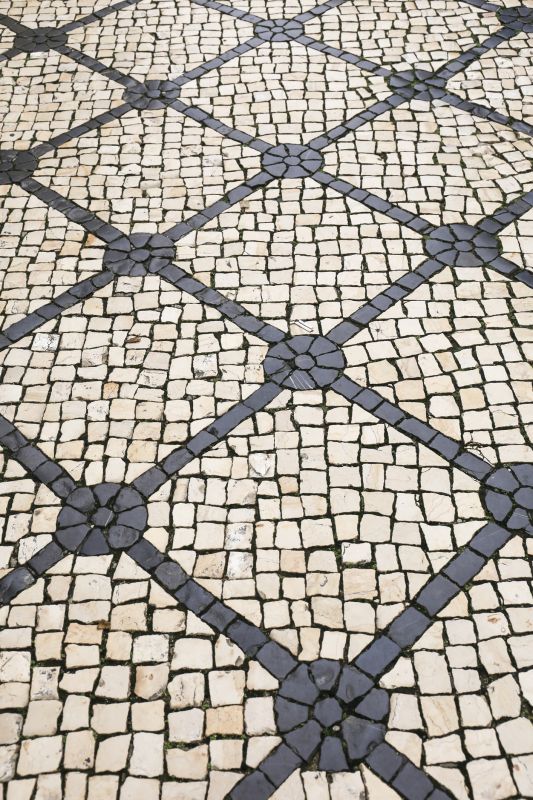 Color-Contrasted Paver Design